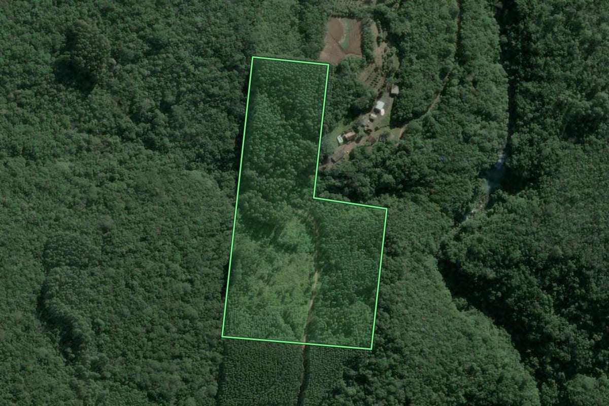 Imagem de satélite do imóvel rural em Sapiranga (RS), com o contorno declarado no CAR desenhado por cima.
