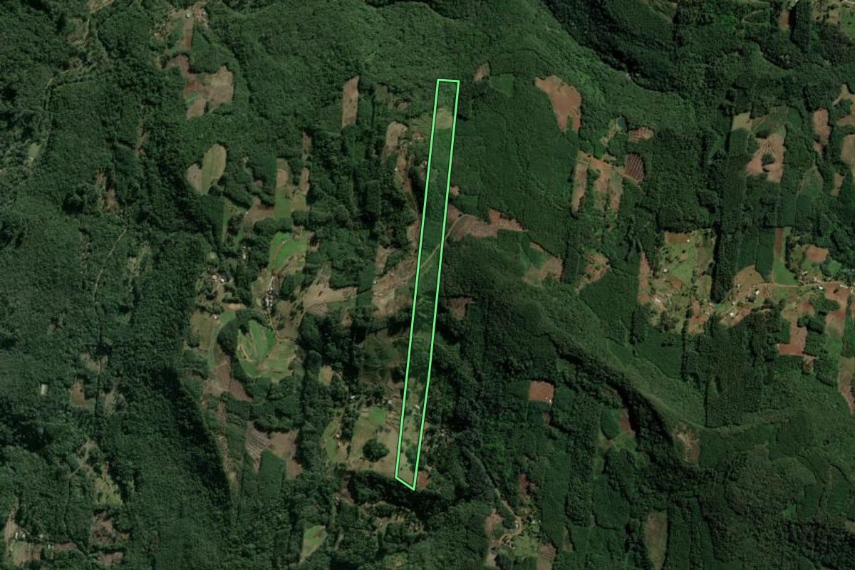 Imagem de satélite do imóvel rural em Sapiranga (RS), com o contorno declarado no CAR desenhado por cima.