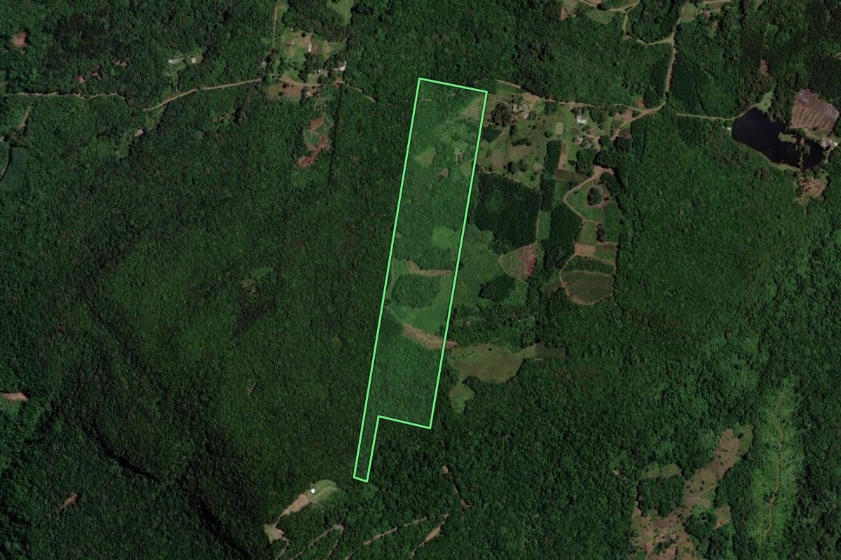 Imagem de satélite do imóvel rural em Sapiranga (RS), com o contorno declarado no CAR desenhado por cima.