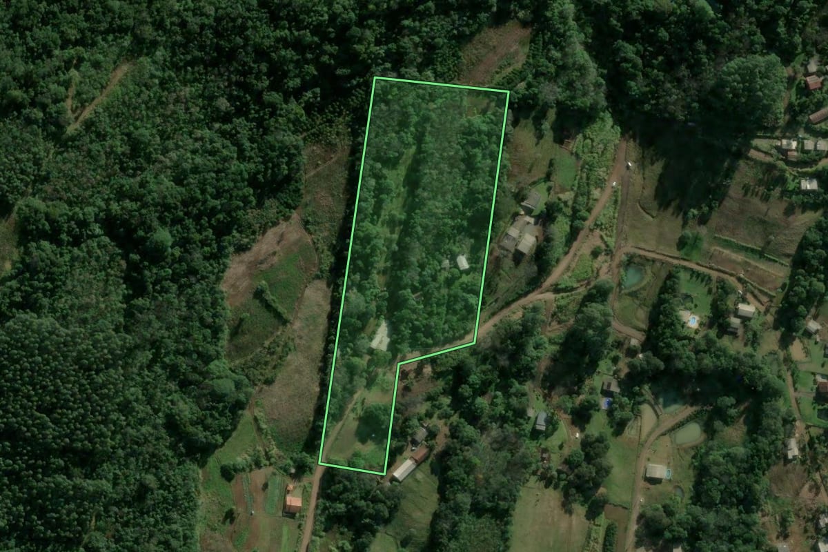 Imagem de satélite do imóvel rural em Sapiranga (RS), com o contorno declarado no CAR desenhado por cima.