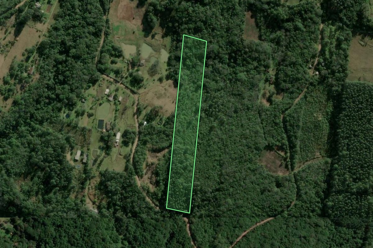 Imagem de satélite do imóvel rural em Sapiranga (RS), com o contorno declarado no CAR desenhado por cima.