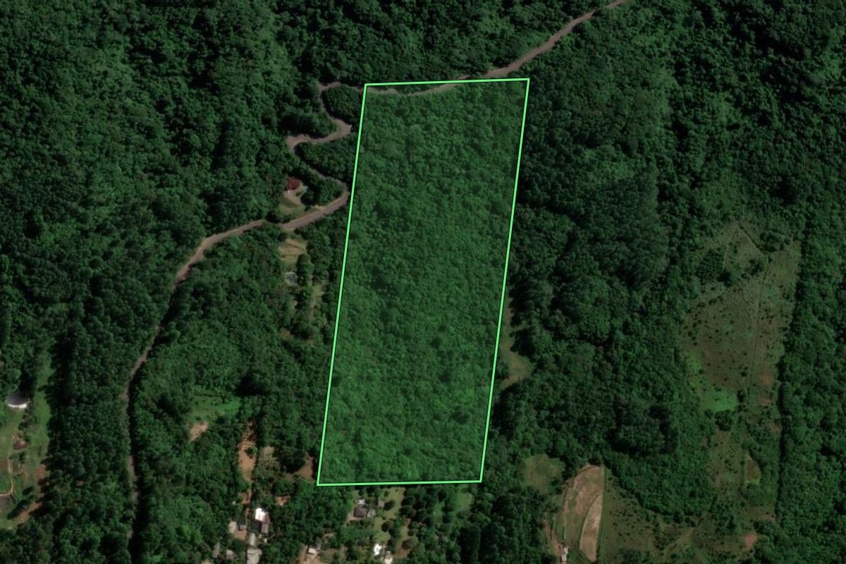 Imagem de satélite do imóvel rural em Sapiranga (RS), com o contorno declarado no CAR desenhado por cima.