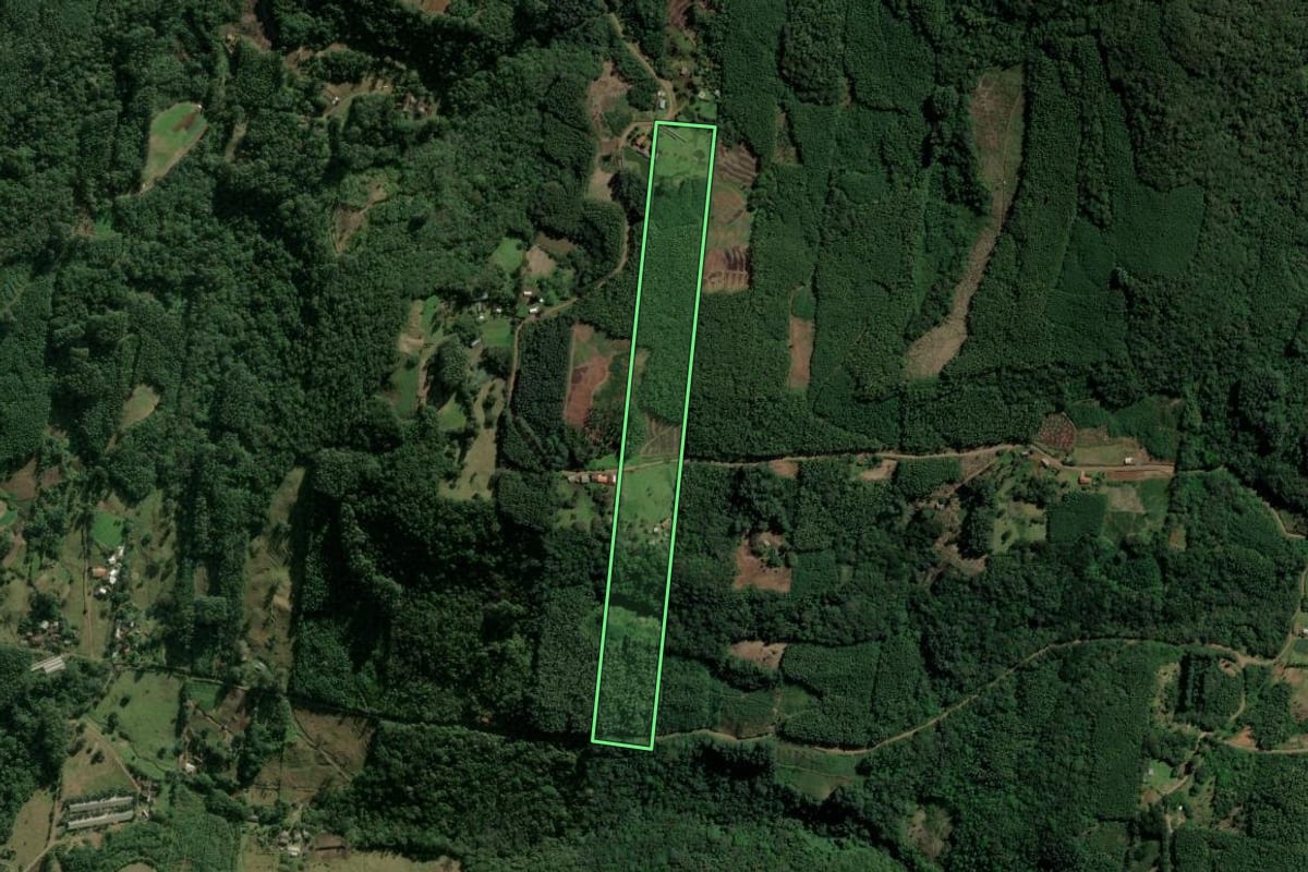 Imagem de satélite do imóvel rural em Sapiranga (RS), com o contorno declarado no CAR desenhado por cima.