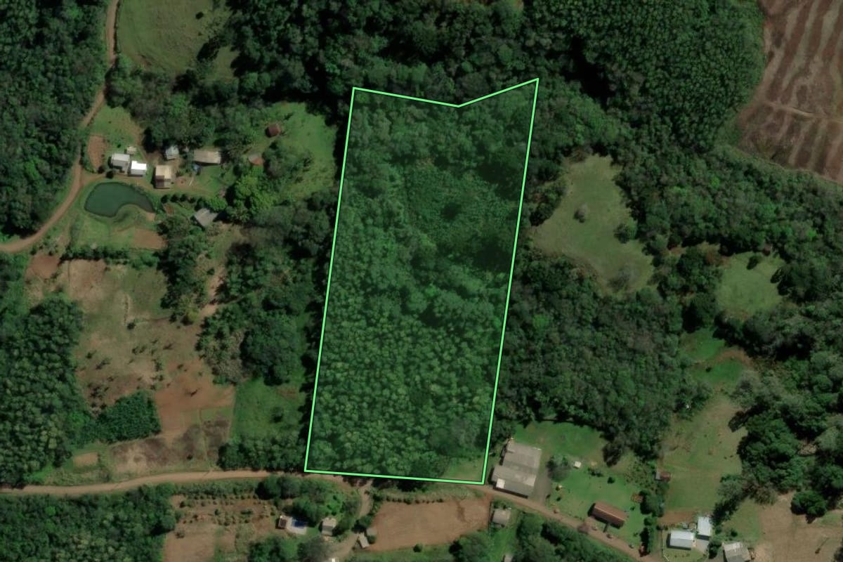 Imagem de satélite do imóvel rural em Sapiranga (RS), com o contorno declarado no CAR desenhado por cima.