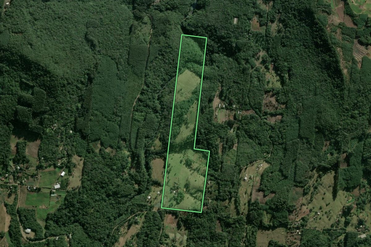 Imagem de satélite do imóvel rural em Sapiranga (RS), com o contorno declarado no CAR desenhado por cima.