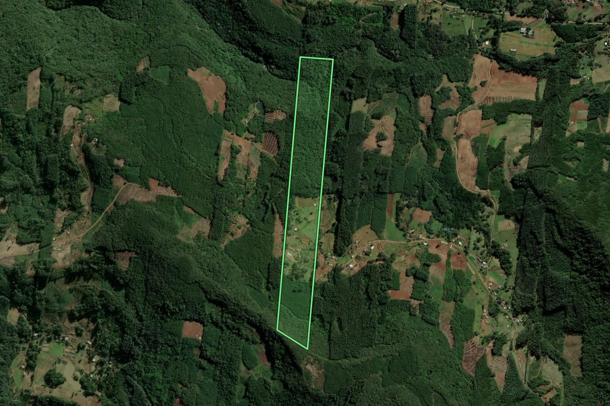 Imagem de satélite do imóvel rural em Sapiranga (RS), com o contorno declarado no CAR desenhado por cima.
