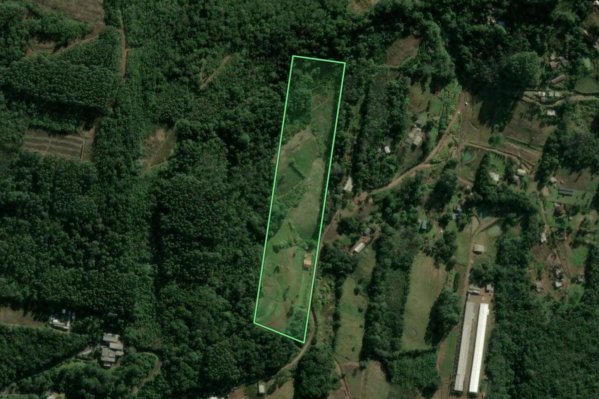 Imagem de satélite do imóvel rural em Sapiranga (RS), com o contorno declarado no CAR desenhado por cima.