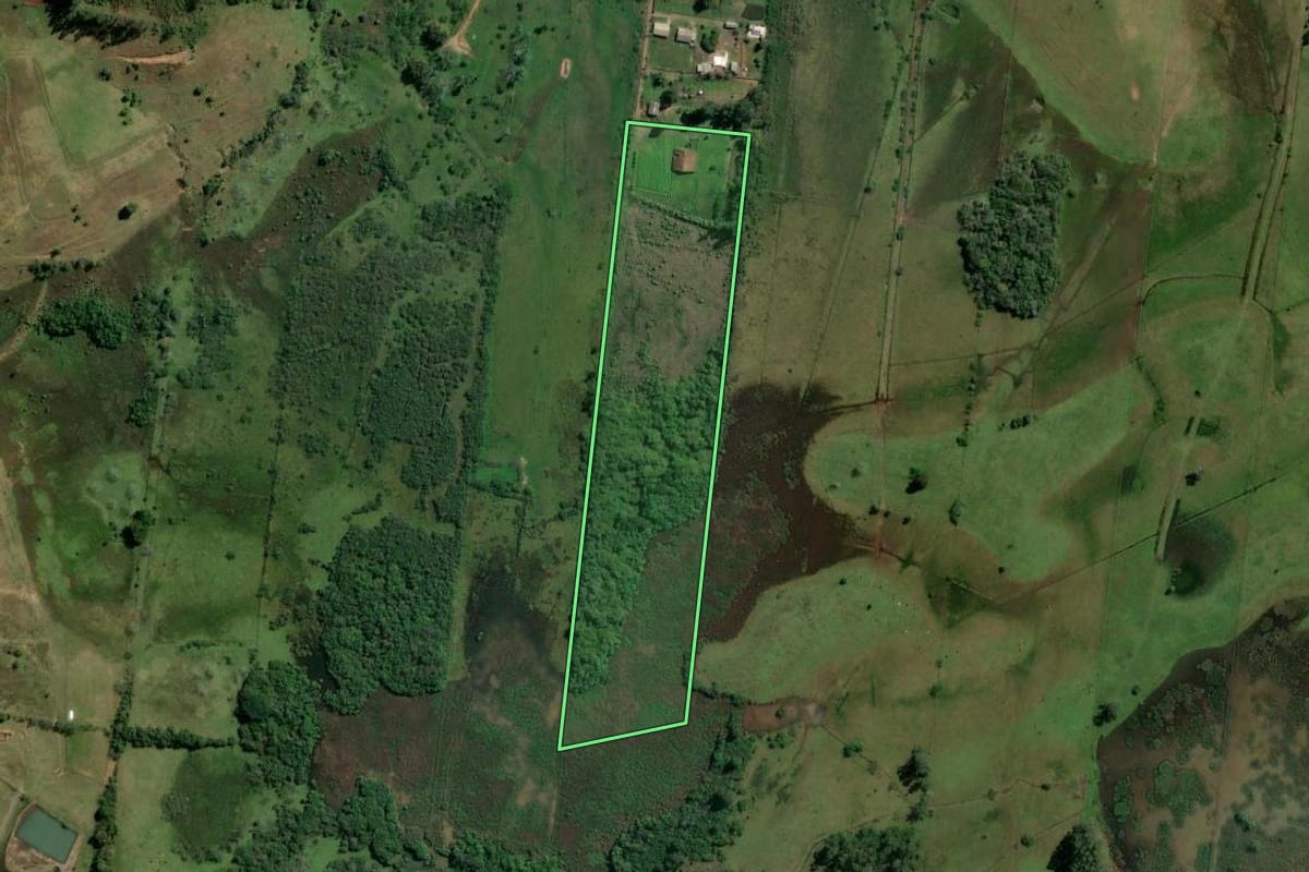 Imagem de satélite do imóvel rural em Sapiranga (RS), com o contorno declarado no CAR desenhado por cima.