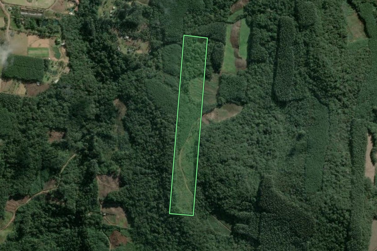 Imagem de satélite do imóvel rural em Sapiranga (RS), com o contorno declarado no CAR desenhado por cima.