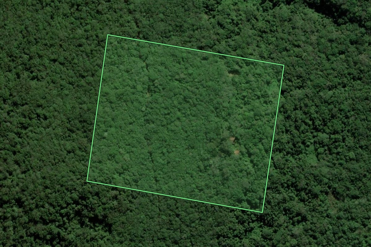 Imagem de satélite do imóvel rural em Sapiranga (RS), com o contorno declarado no CAR desenhado por cima.