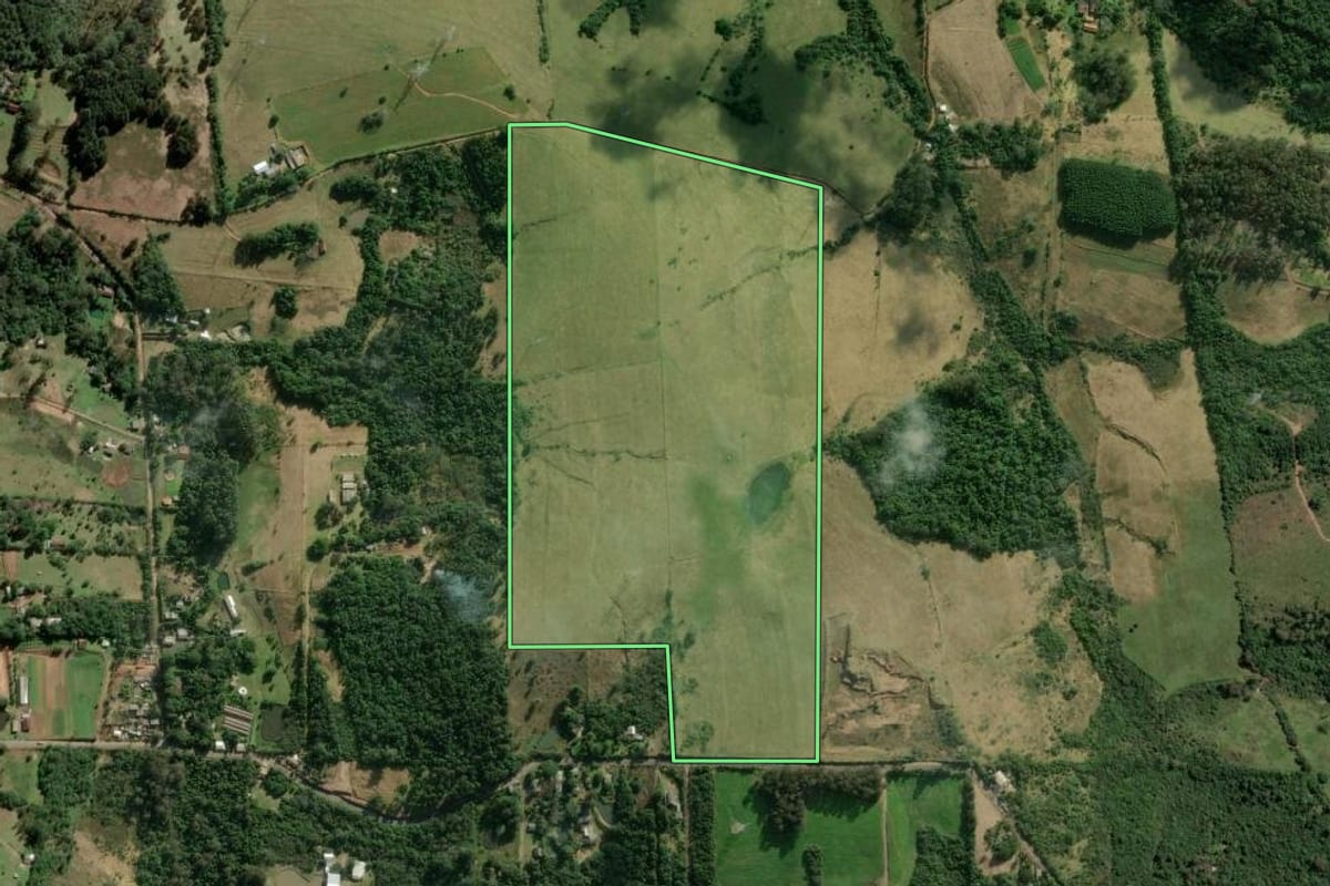Imagem de satélite do imóvel rural em Sapucaia do Sul (RS), com o contorno declarado no CAR desenhado por cima.