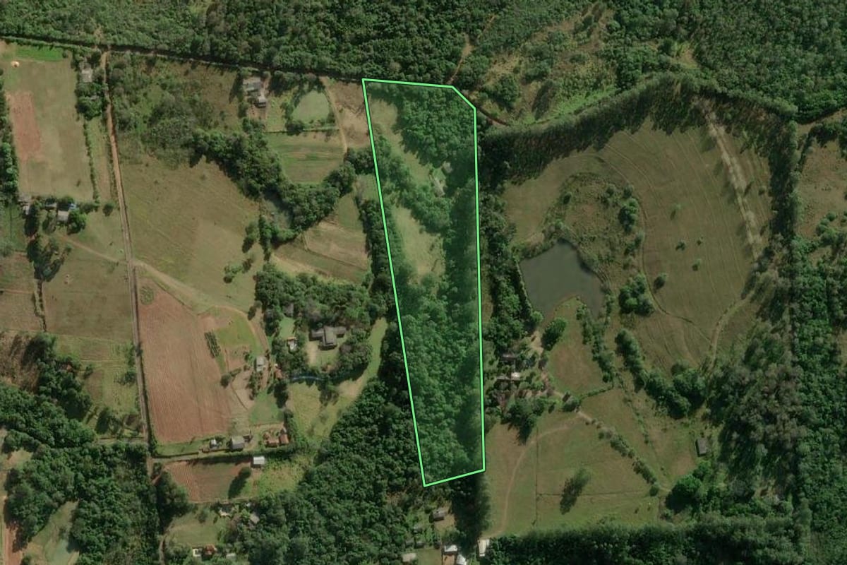 Imagem de satélite do imóvel rural em Sapucaia do Sul (RS), com o contorno declarado no CAR desenhado por cima.