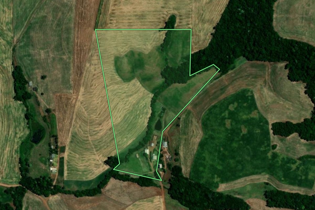 Imagem de satélite do imóvel rural em Sarandi (RS), com o contorno declarado no CAR desenhado por cima.