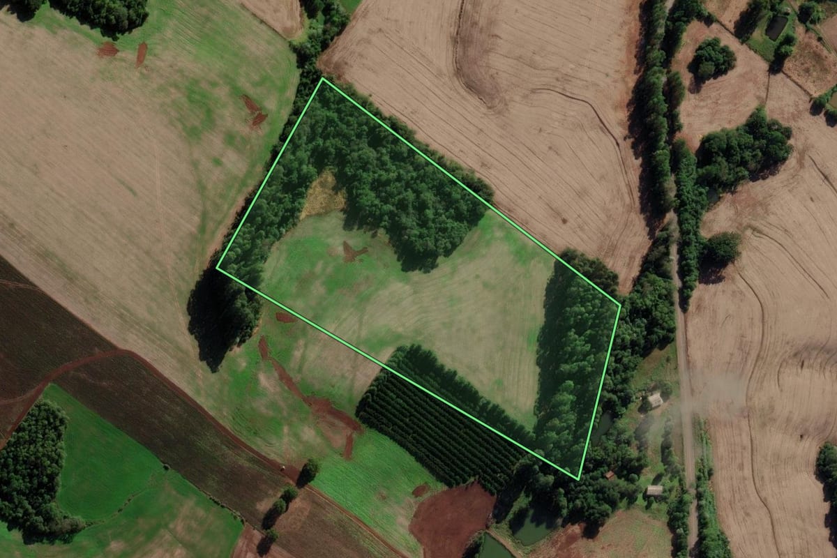 Imagem de satélite do imóvel rural em Sarandi (RS), com o contorno declarado no CAR desenhado por cima.