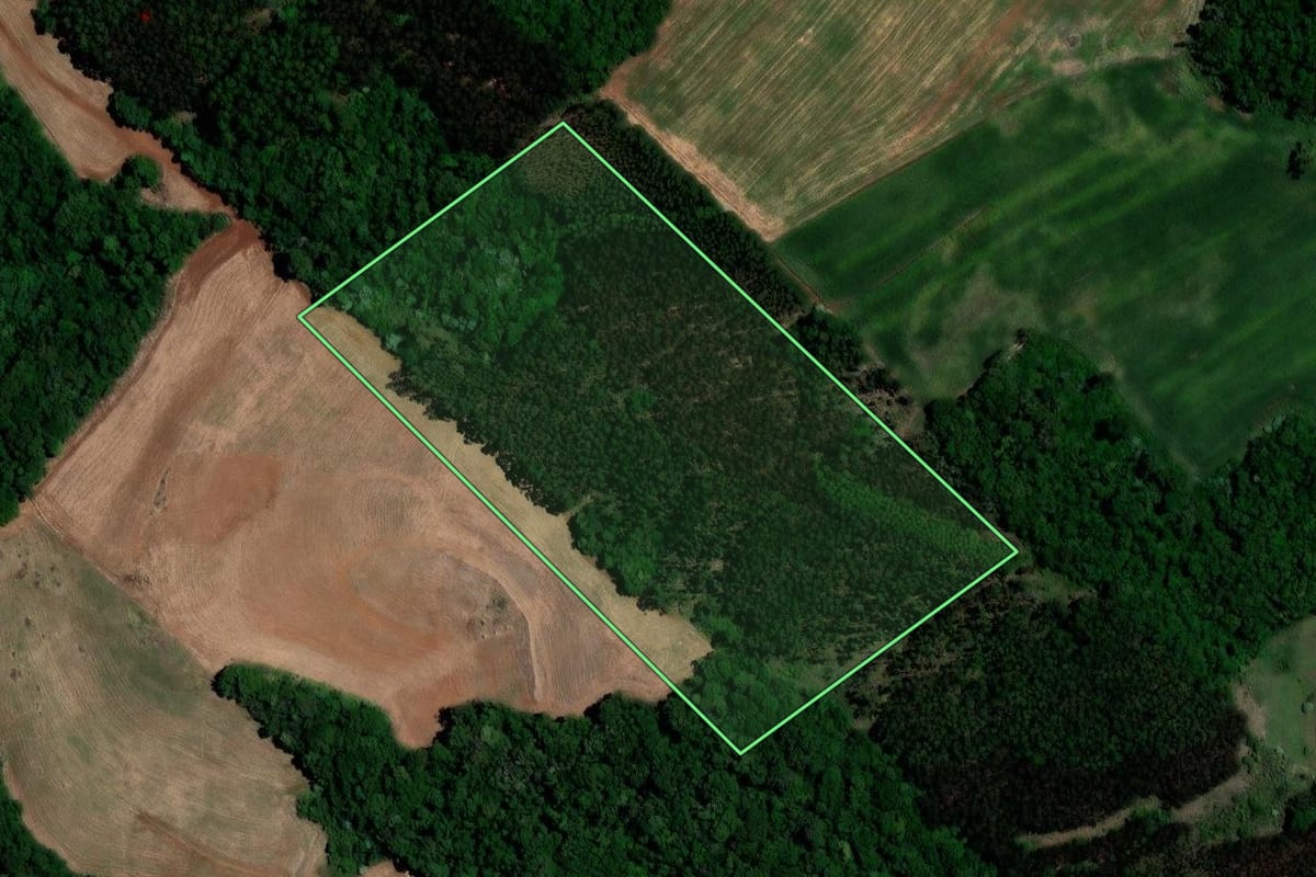 Imagem de satélite do imóvel rural em Sarandi (RS), com o contorno declarado no CAR desenhado por cima.