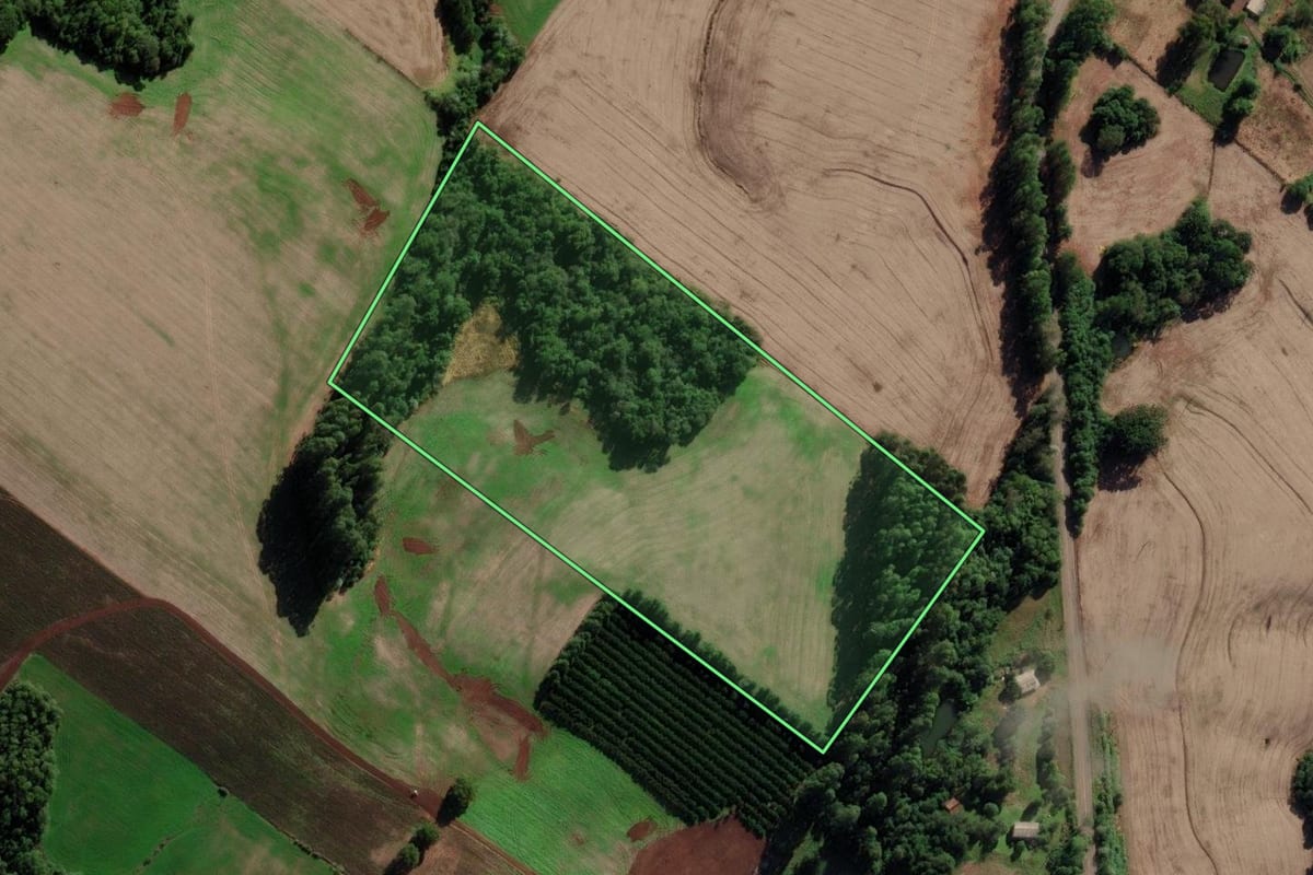 Imagem de satélite do imóvel rural em Sarandi (RS), com o contorno declarado no CAR desenhado por cima.