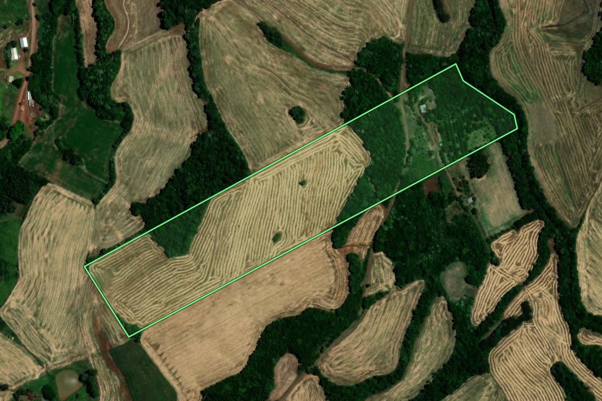 Imagem de satélite do imóvel rural em Sarandi (RS), com o contorno declarado no CAR desenhado por cima.