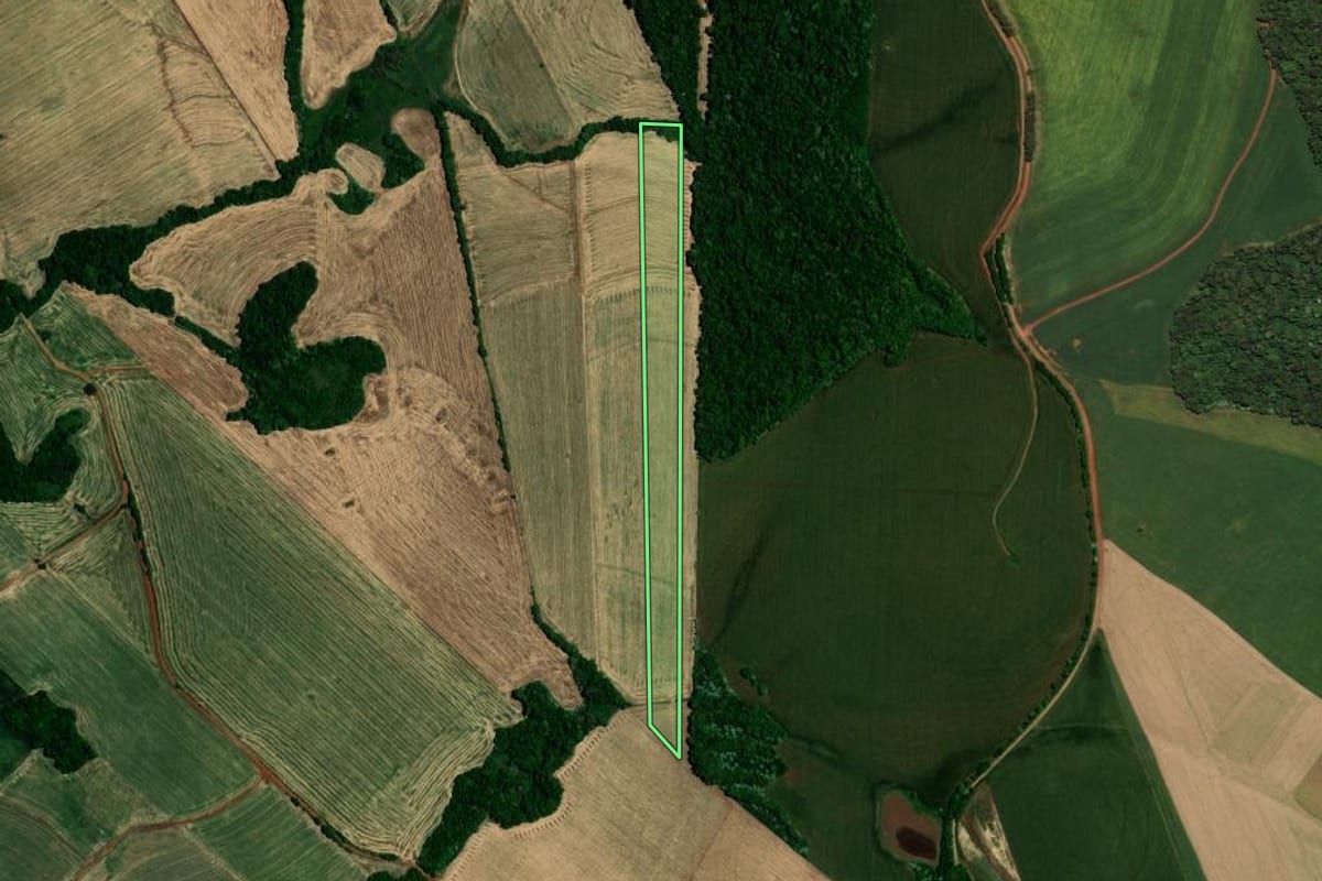 Imagem de satélite do imóvel rural em Sarandi (RS), com o contorno declarado no CAR desenhado por cima.