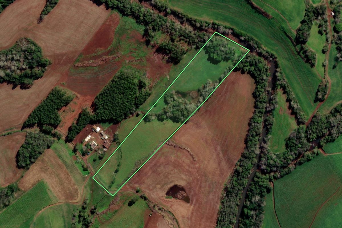 Imagem de satélite do imóvel rural em Sarandi (RS), com o contorno declarado no CAR desenhado por cima.