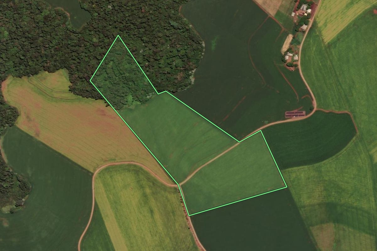Imagem de satélite do imóvel rural em Sarandi (RS), com o contorno declarado no CAR desenhado por cima.