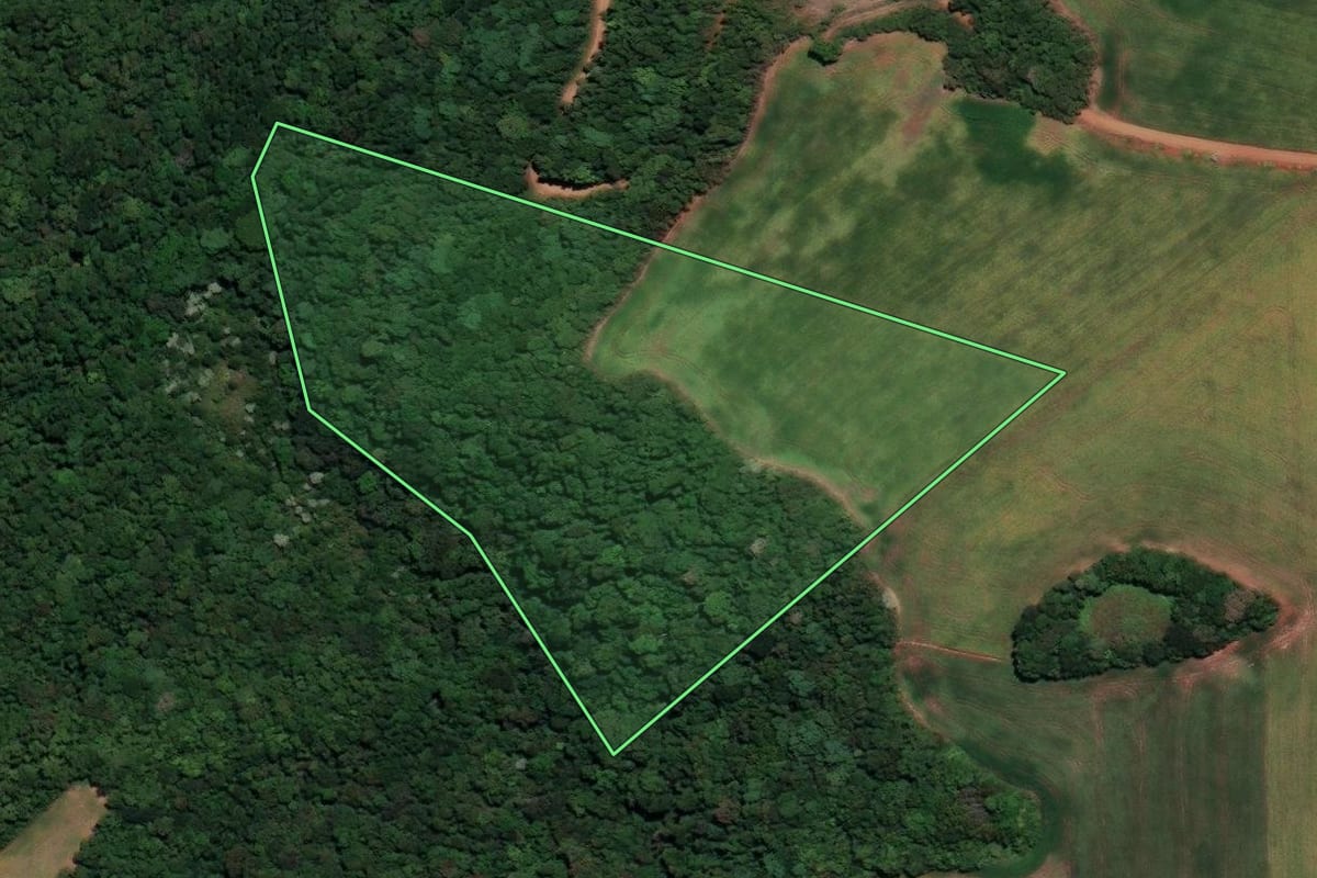 Imagem de satélite do imóvel rural em Sarandi (RS), com o contorno declarado no CAR desenhado por cima.