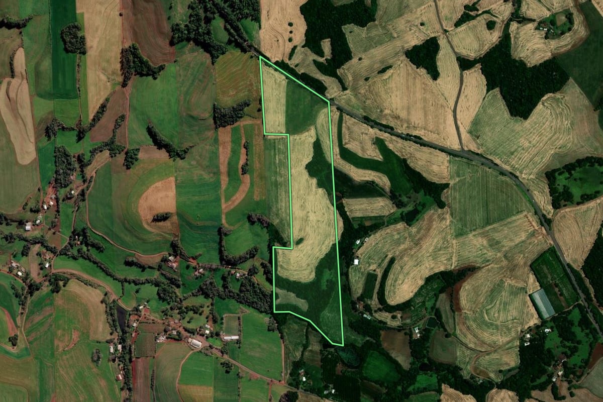 Imagem de satélite do imóvel rural em Sarandi (RS), com o contorno declarado no CAR desenhado por cima.