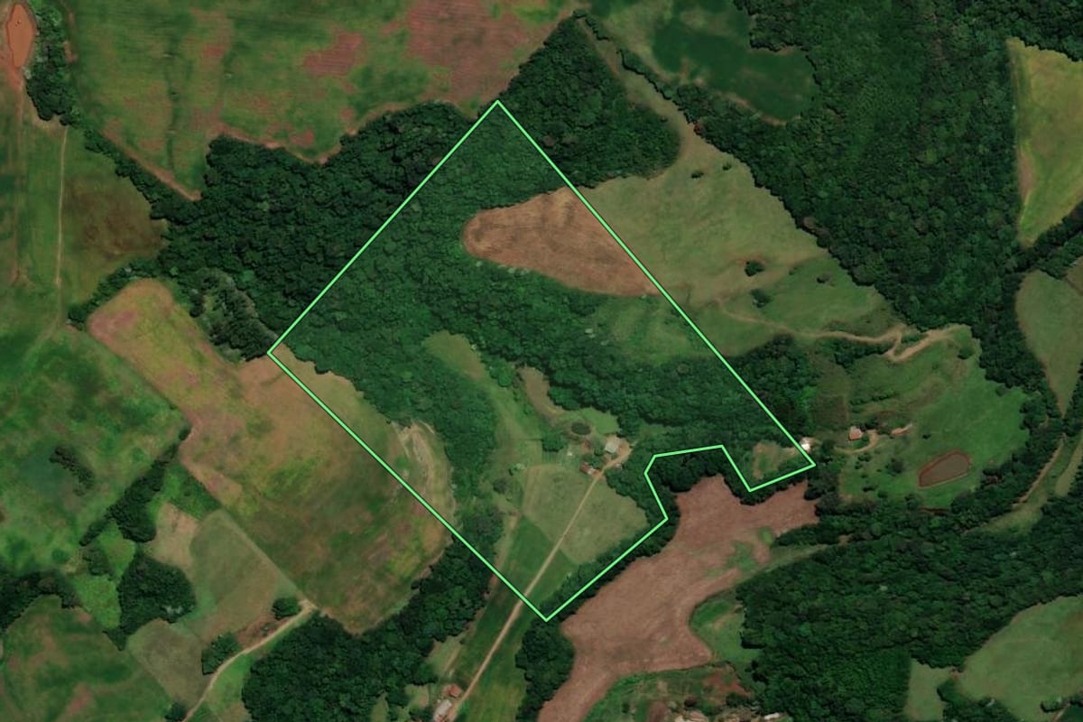 Imagem de satélite do imóvel rural em Sarandi (RS), com o contorno declarado no CAR desenhado por cima.