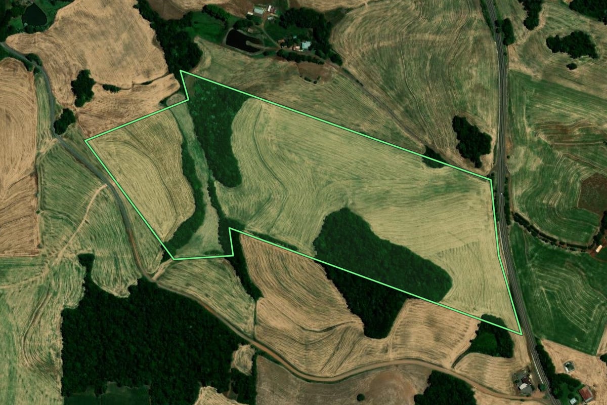 Imagem de satélite do imóvel rural em Sarandi (RS), com o contorno declarado no CAR desenhado por cima.