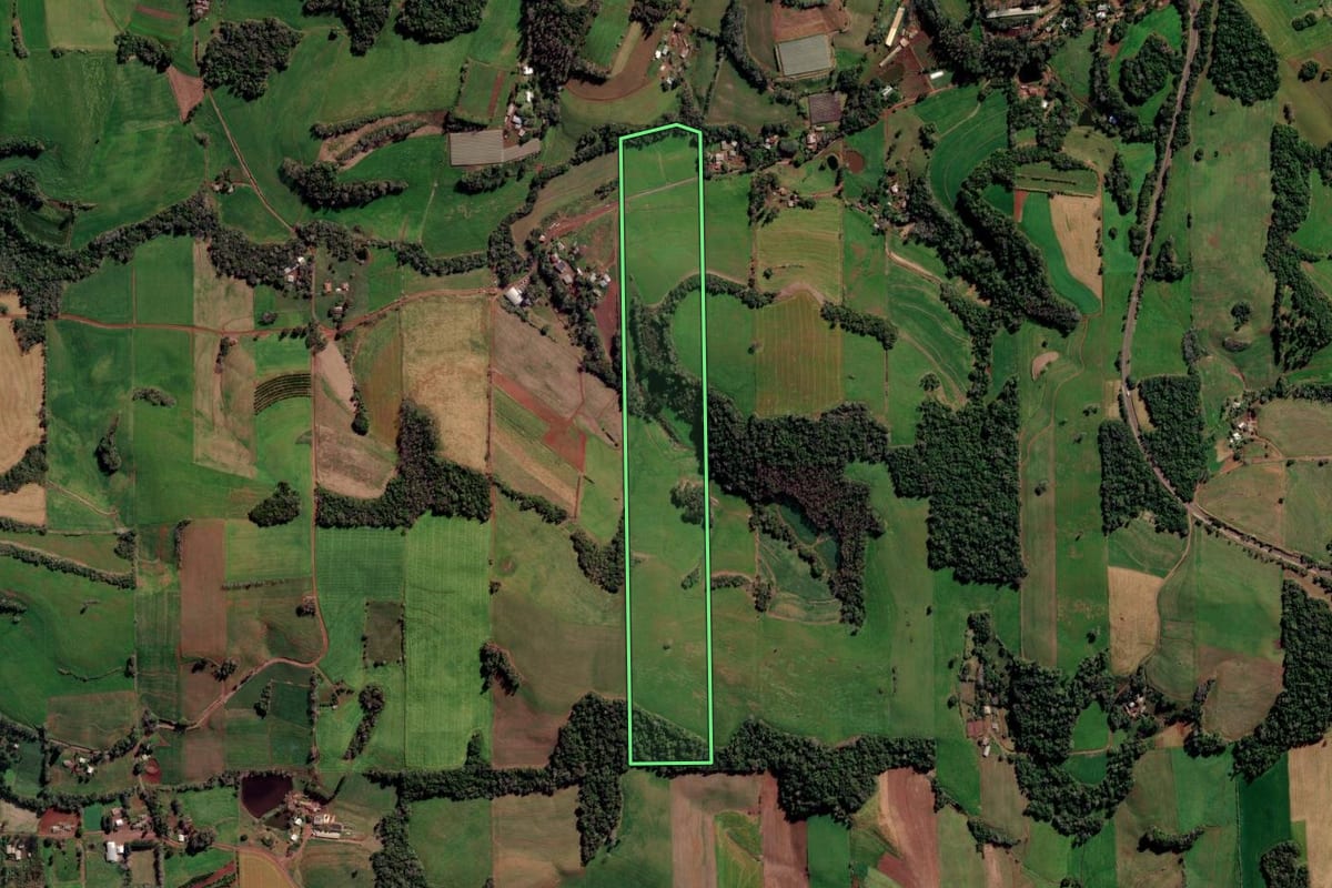 Imagem de satélite do imóvel rural em Sarandi (RS), com o contorno declarado no CAR desenhado por cima.