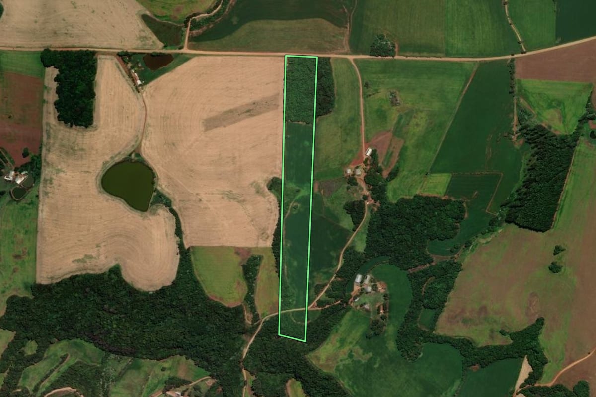 Imagem de satélite do imóvel rural em Sarandi (RS), com o contorno declarado no CAR desenhado por cima.