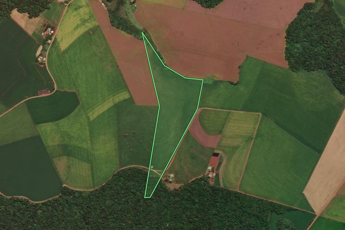 Imagem de satélite do imóvel rural em Sarandi (RS), com o contorno declarado no CAR desenhado por cima.
