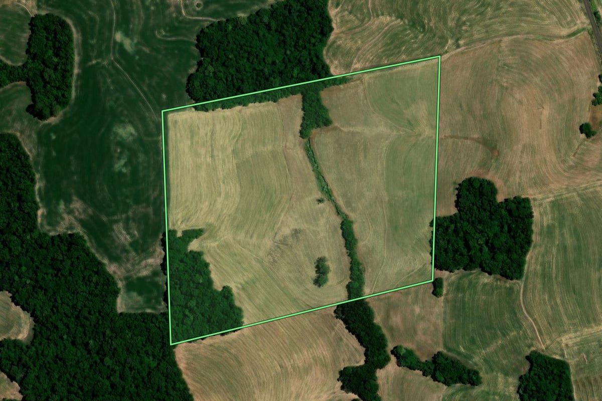 Imagem de satélite do imóvel rural em Sarandi (RS), com o contorno declarado no CAR desenhado por cima.