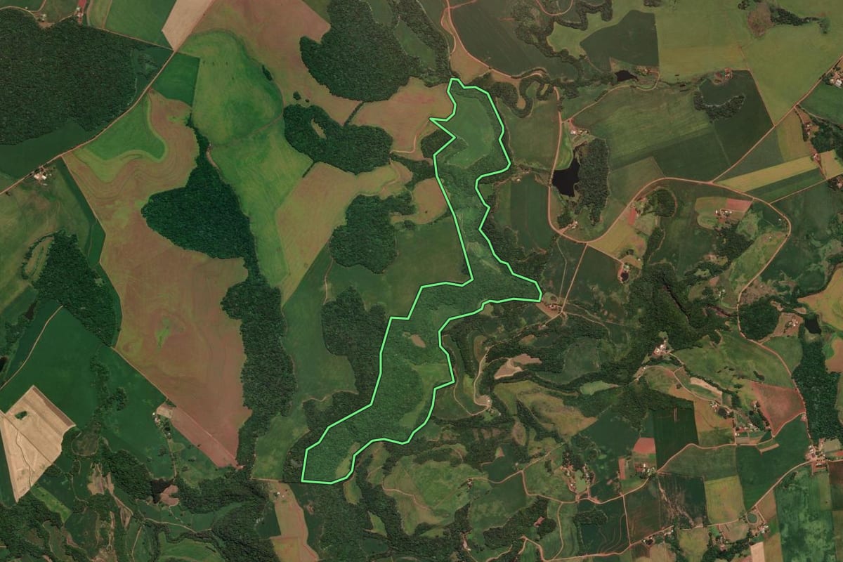 Imagem de satélite do imóvel rural em Sarandi (RS), com o contorno declarado no CAR desenhado por cima.