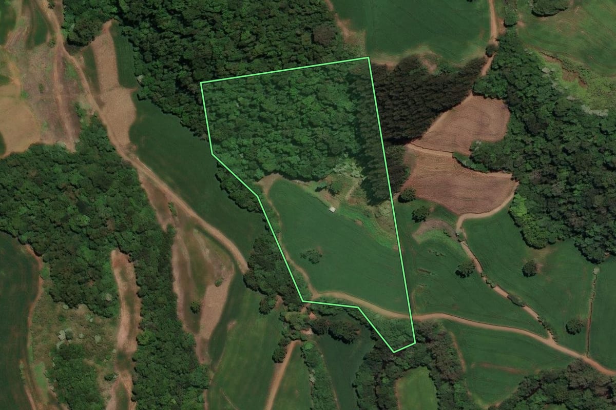 Imagem de satélite do imóvel rural em Sarandi (RS), com o contorno declarado no CAR desenhado por cima.