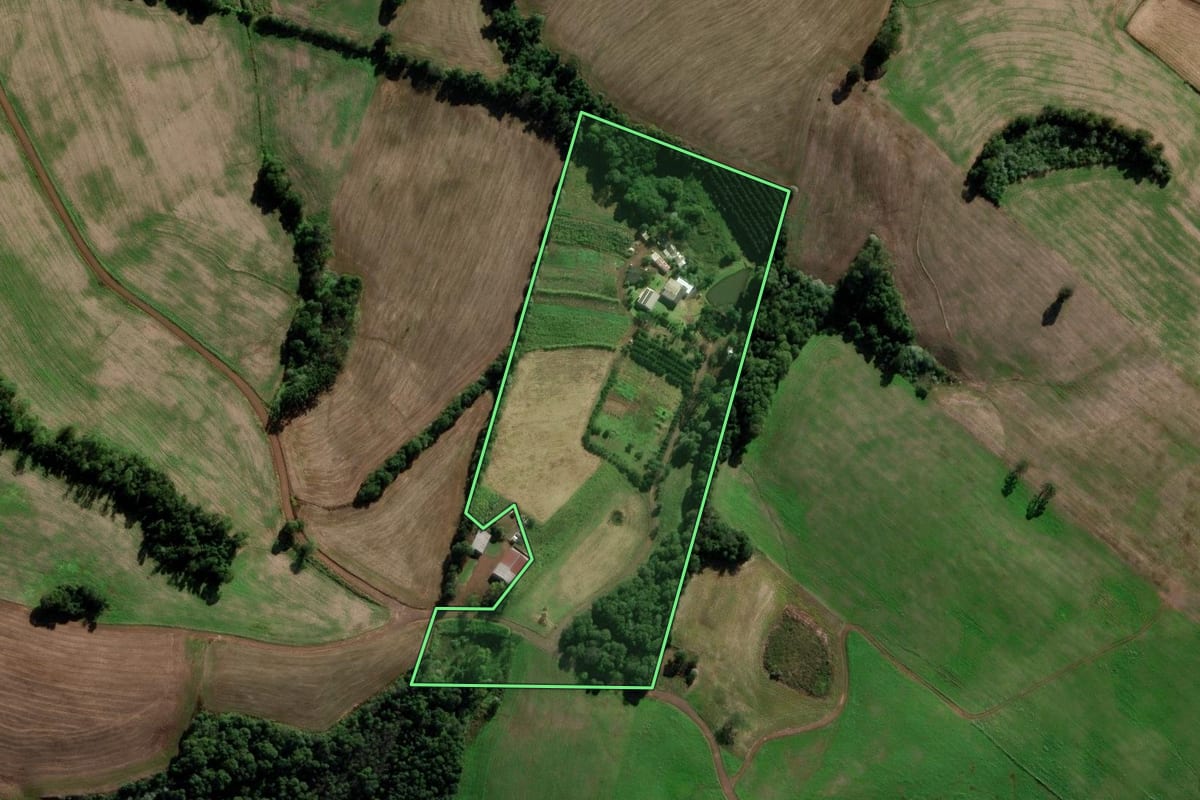 Imagem de satélite do imóvel rural em Sarandi (RS), com o contorno declarado no CAR desenhado por cima.