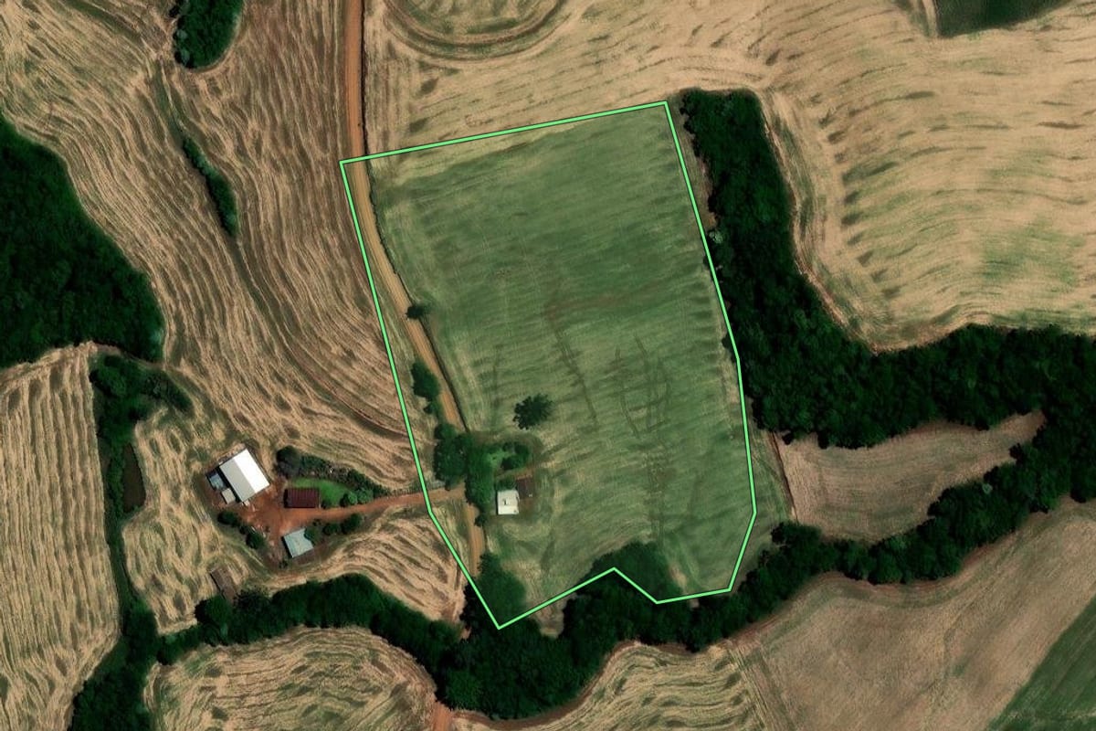 Imagem de satélite do imóvel rural em Sarandi (RS), com o contorno declarado no CAR desenhado por cima.