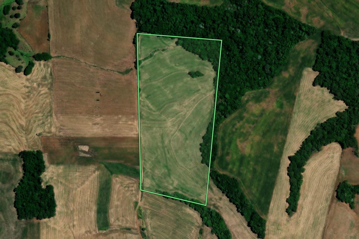 Imagem de satélite do imóvel rural em Sarandi (RS), com o contorno declarado no CAR desenhado por cima.