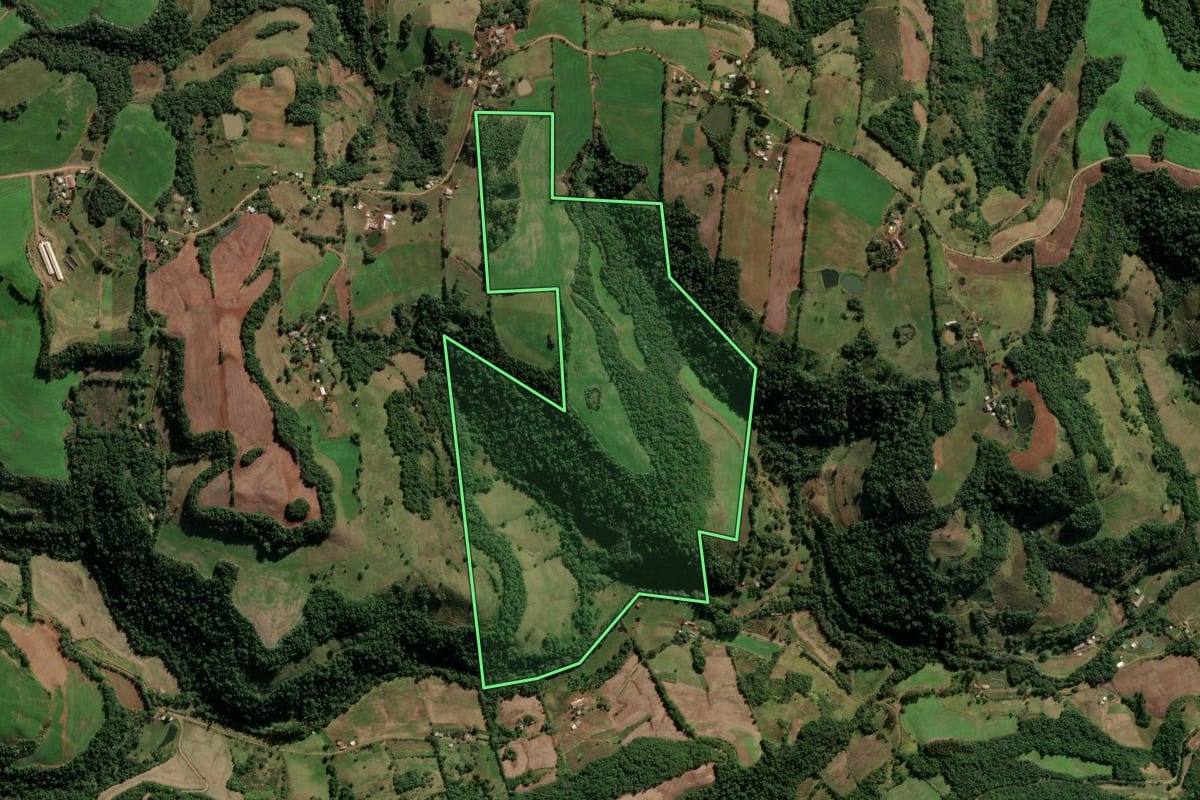 Imagem de satélite do imóvel rural em Seberi (RS), com o contorno declarado no CAR desenhado por cima.