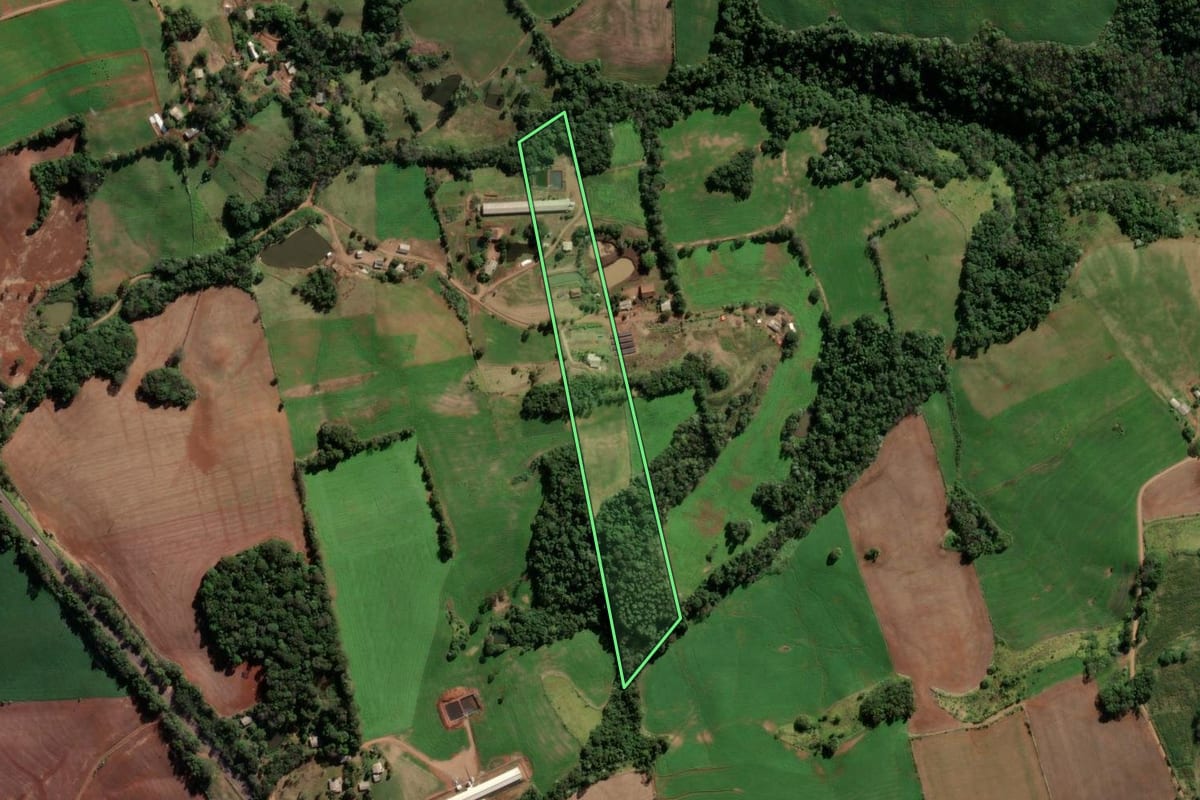 Imagem de satélite do imóvel rural em Seberi (RS), com o contorno declarado no CAR desenhado por cima.