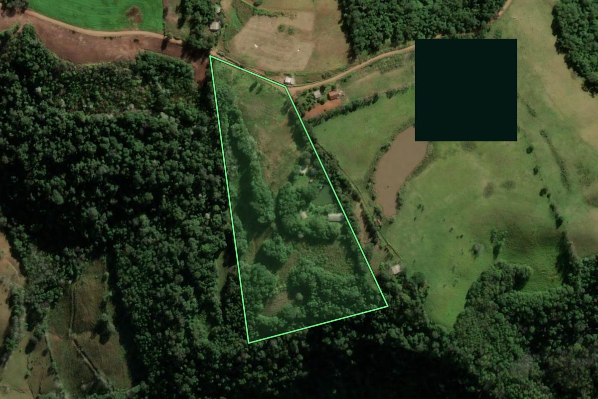 Imagem de satélite do imóvel rural em Seberi (RS), com o contorno declarado no CAR desenhado por cima.