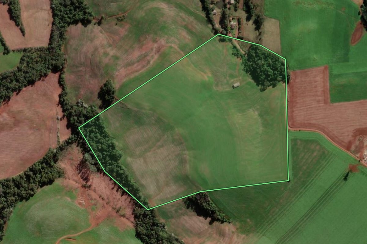 Imagem de satélite do imóvel rural em Seberi (RS), com o contorno declarado no CAR desenhado por cima.