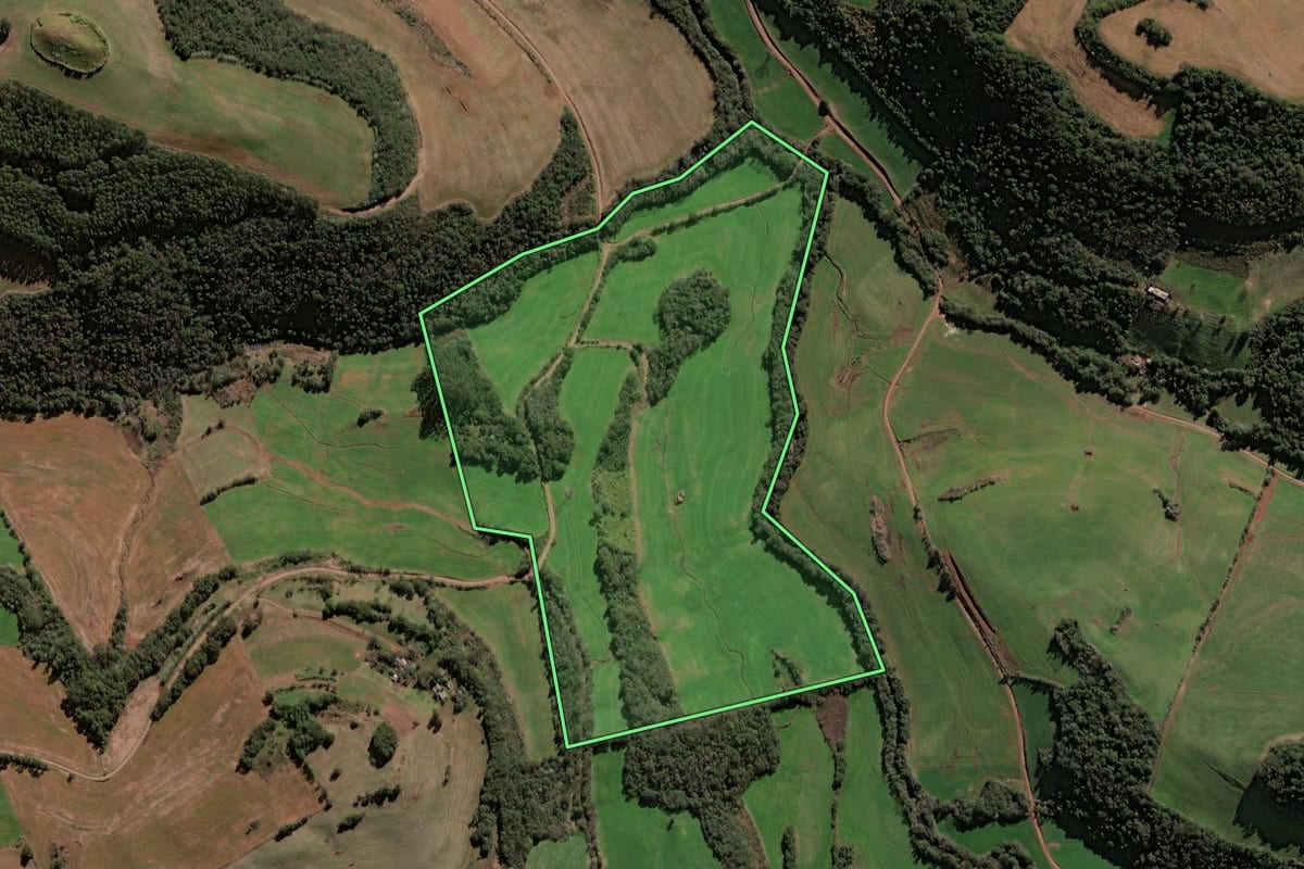 Imagem de satélite do imóvel rural em Seberi (RS), com o contorno declarado no CAR desenhado por cima.