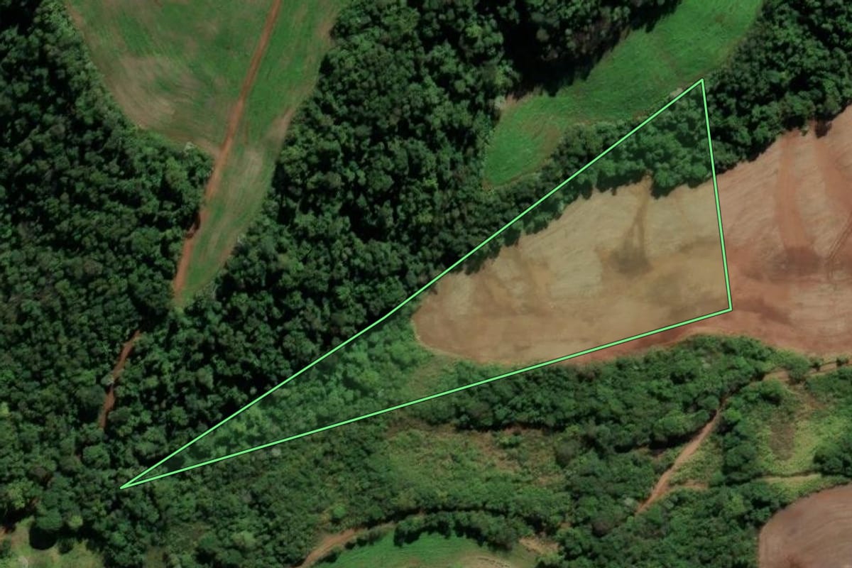 Imagem de satélite do imóvel rural em Seberi (RS), com o contorno declarado no CAR desenhado por cima.