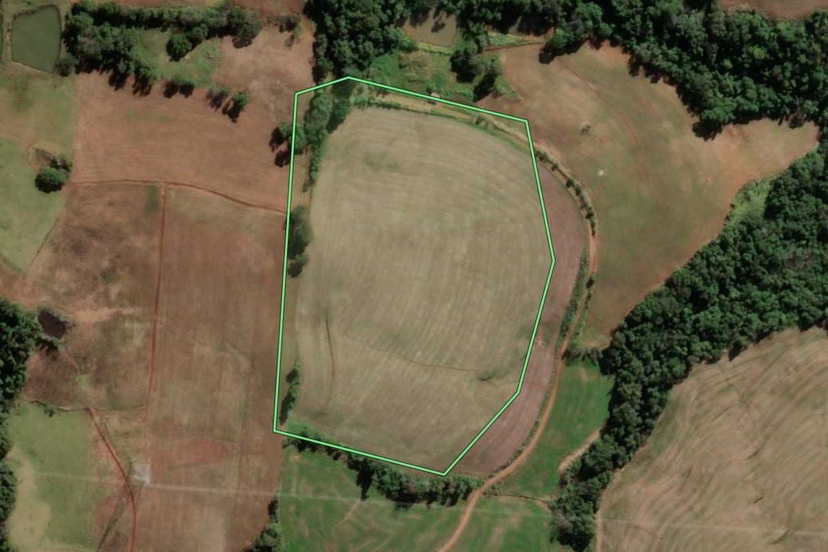 Imagem de satélite do imóvel rural em Seberi (RS), com o contorno declarado no CAR desenhado por cima.
