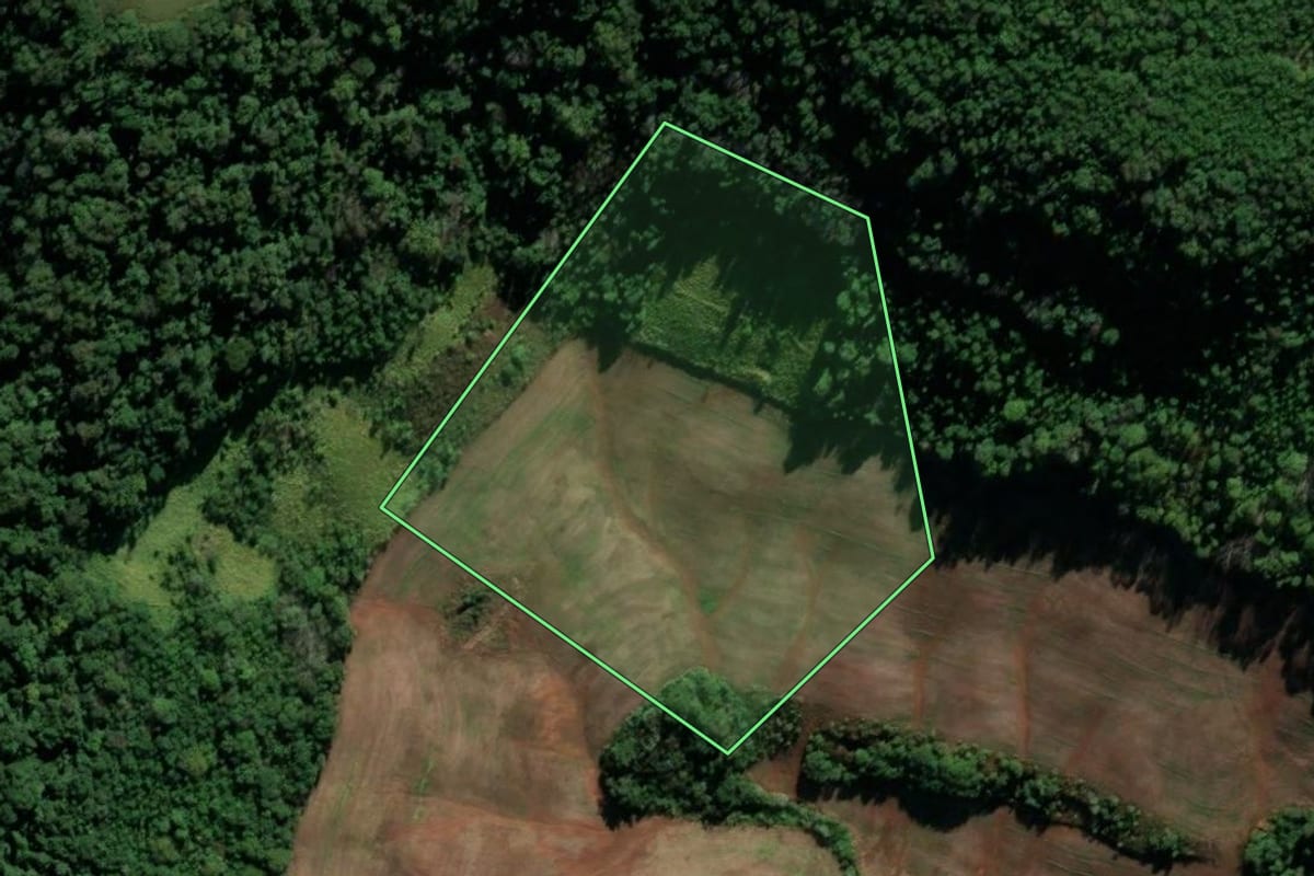 Imagem de satélite do imóvel rural em Seberi (RS), com o contorno declarado no CAR desenhado por cima.