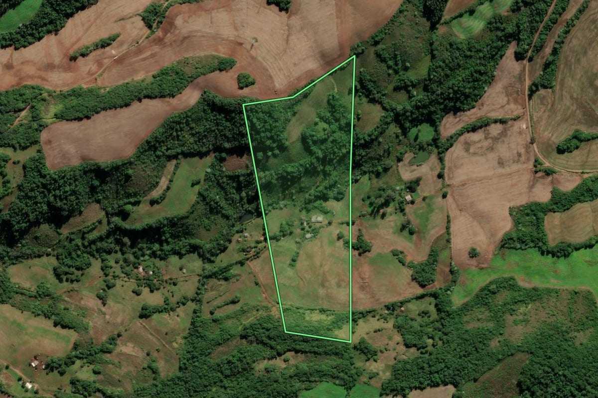 Imagem de satélite do imóvel rural em Seberi (RS), com o contorno declarado no CAR desenhado por cima.