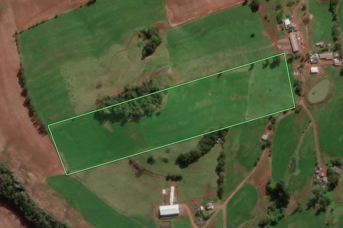 Imagem de satélite do imóvel rural em Seberi (RS), com o contorno declarado no CAR desenhado por cima.