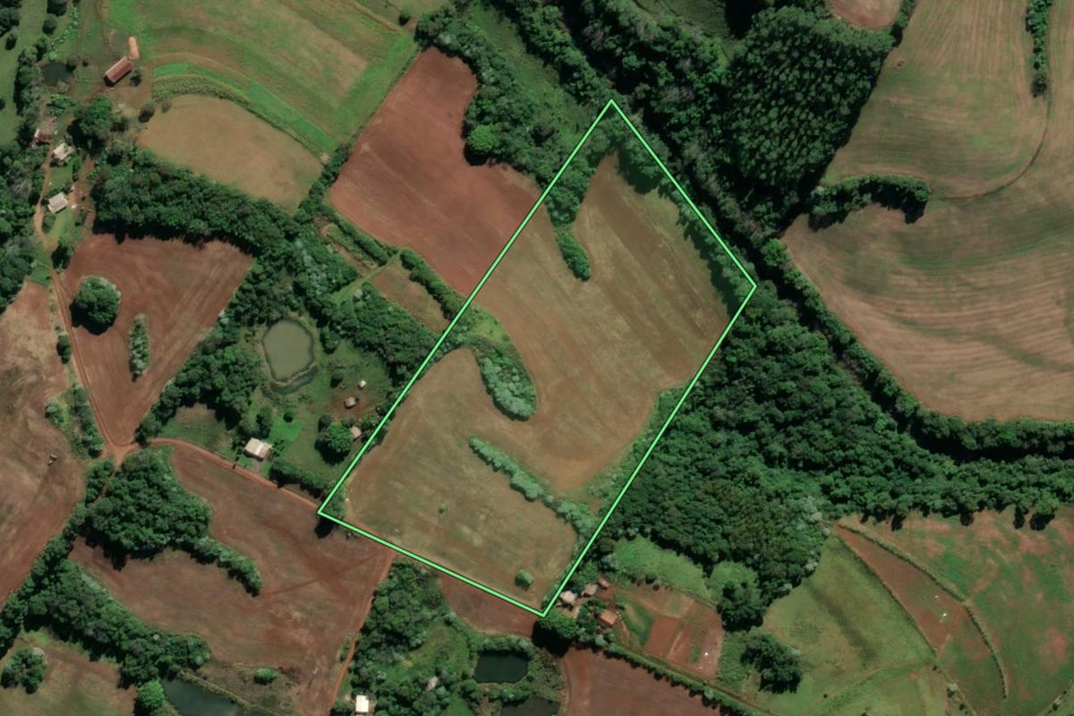 Imagem de satélite do imóvel rural em Seberi (RS), com o contorno declarado no CAR desenhado por cima.