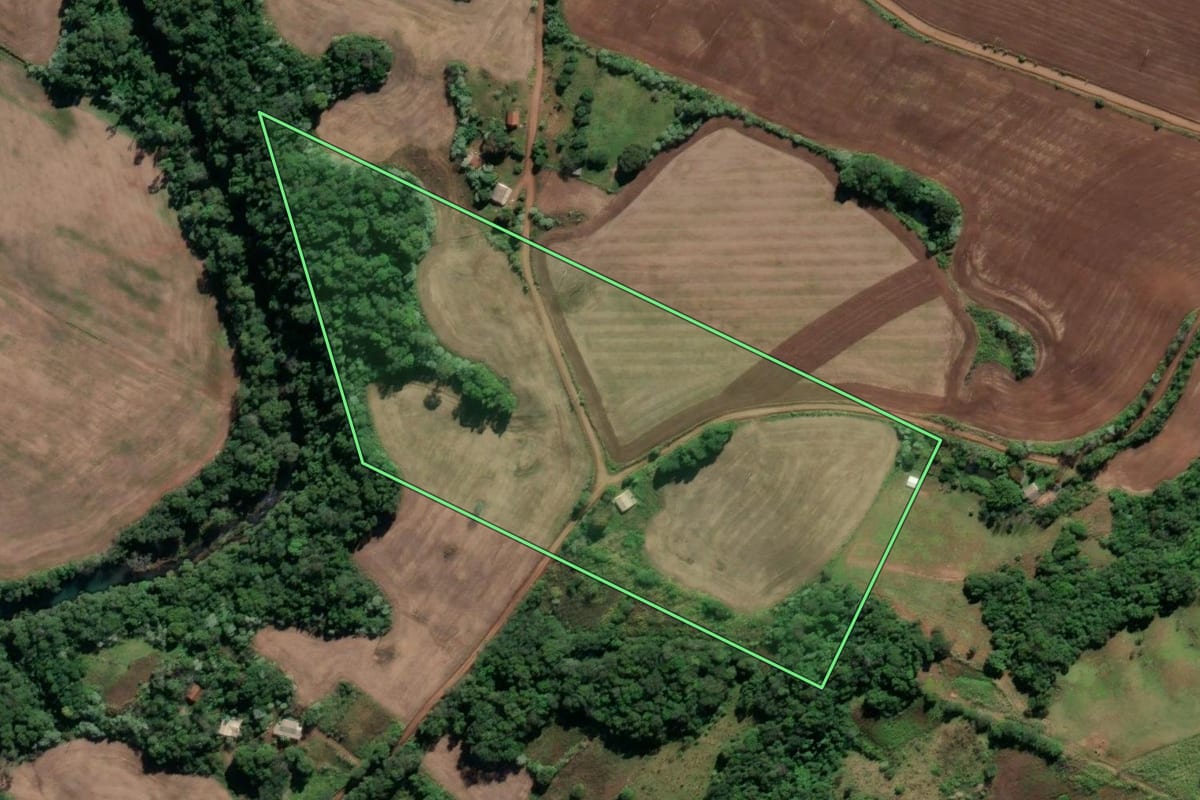 Imagem de satélite do imóvel rural em Seberi (RS), com o contorno declarado no CAR desenhado por cima.