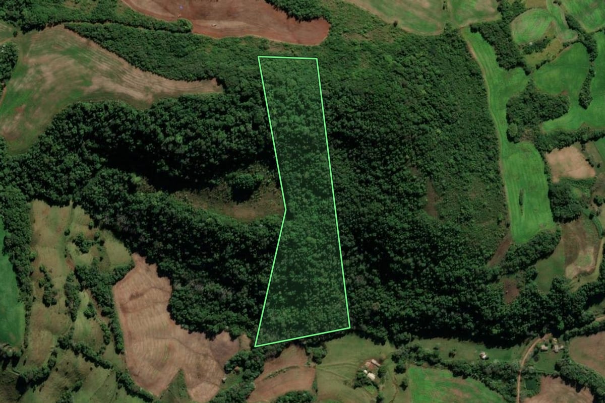 Imagem de satélite do imóvel rural em Seberi (RS), com o contorno declarado no CAR desenhado por cima.